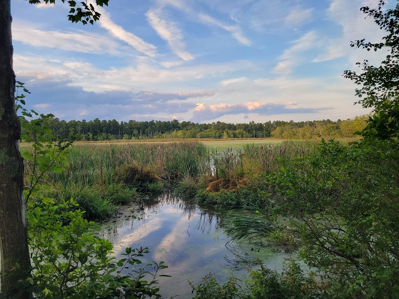 Piney Hollow Preservation - Newfield, NJ