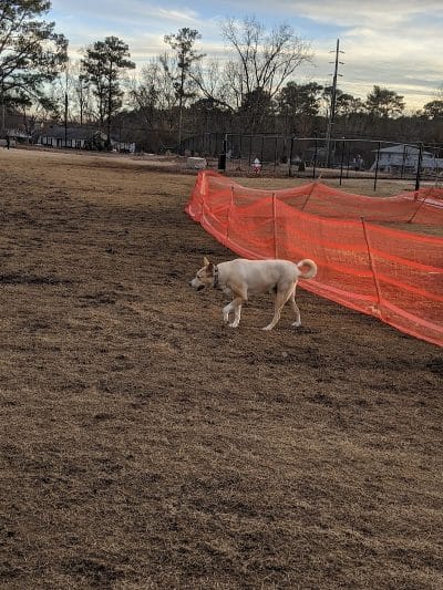 Sprayberry Rd Dog park - Newnan, GA