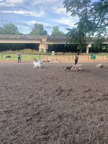 Newport Dog Park