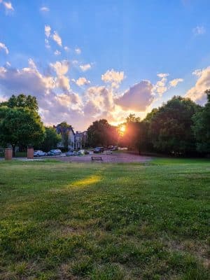 Newport Dog Park