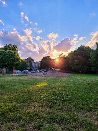 Newport Dog Park