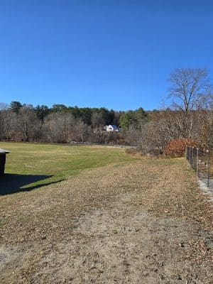 Newport Dog Park