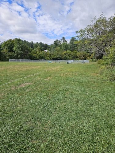 Newport Dog Park