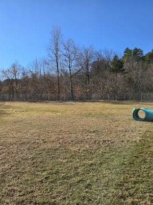 Newport Dog Park