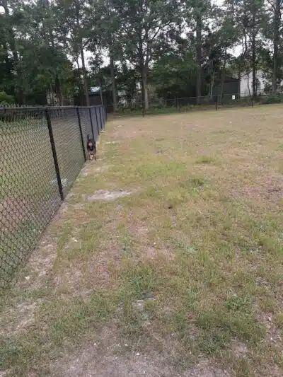Newport Dog Park - Newport, NC