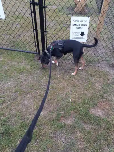 Newport Dog Park - Newport, NC