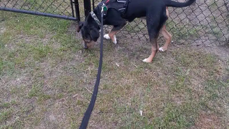 Newport Dog Park - Newport, NC