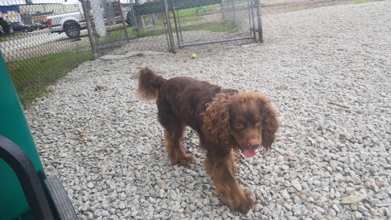 Newport Dog Park - Newport, RI