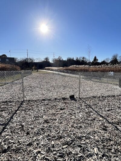 Newport Dog Park (new) - Newport, RI