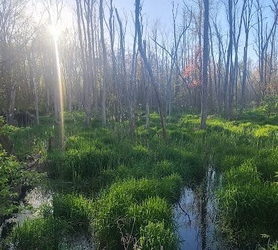Hillside Park - Newton, NJ