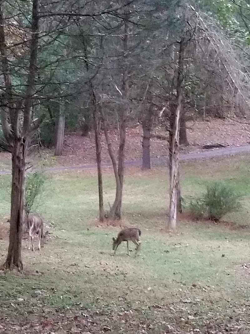 Hillside Park - Newton, NJ