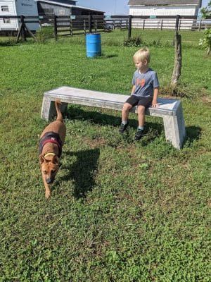 Jessamine County Dog Park