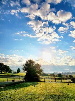 Jessamine County Dog Park