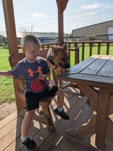 Jessamine County Dog Park