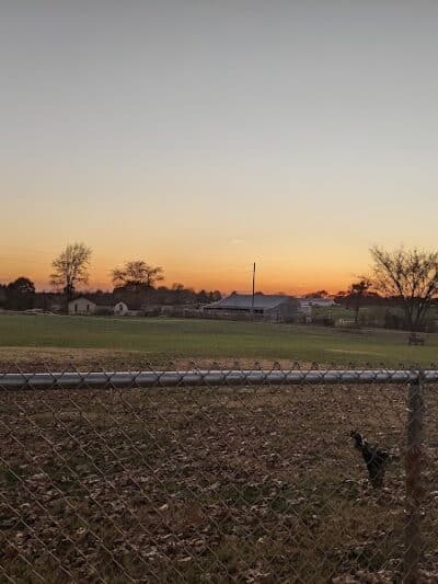 Nixa Dog Park - Nixa, MO