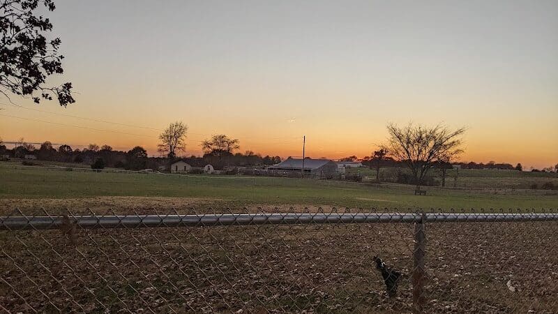 Nixa Dog Park - Nixa, MO