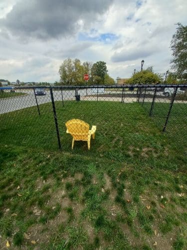 Hamilton Town Center Dog Park