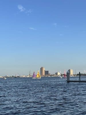 Bea Arthur Dog Park - Norfolk, VA