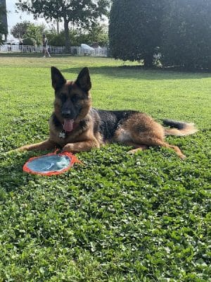 Bea Arthur Dog Park - Norfolk, VA