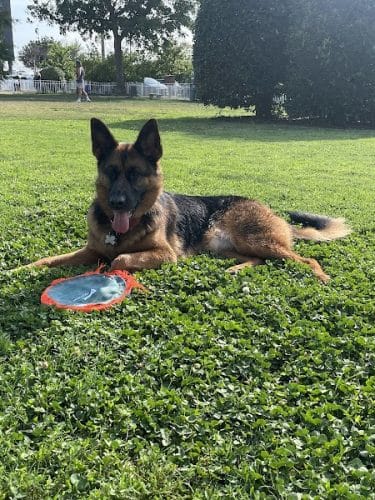 Bea Arthur Dog Park - Norfolk, VA