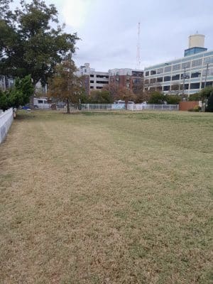 Bea Arthur Dog Park - Norfolk, VA