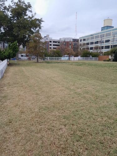 Bea Arthur Dog Park - Norfolk, VA