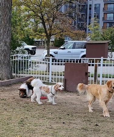 Bea Arthur Dog Park - Norfolk, VA