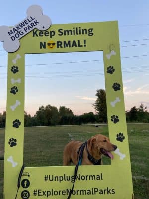 Maxwell Park Dog Park - Normal, IL