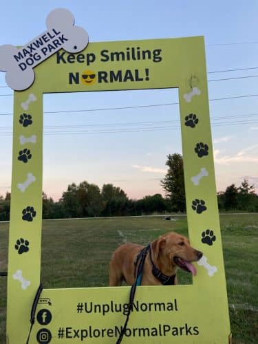 Maxwell Park Dog Park - Normal, IL