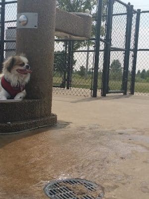 Maxwell Park Dog Park - Normal, IL