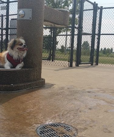 Maxwell Park Dog Park - Normal, IL