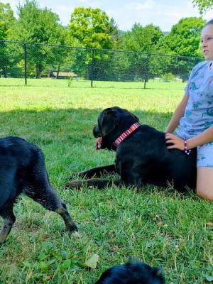 Cedar Creek Dog Park