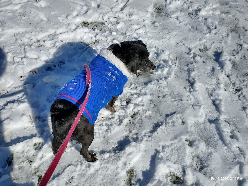 Cedar Creek Dog Park - North Belle Vernon, PA