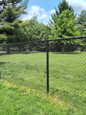 Cedar Creek Dog Park