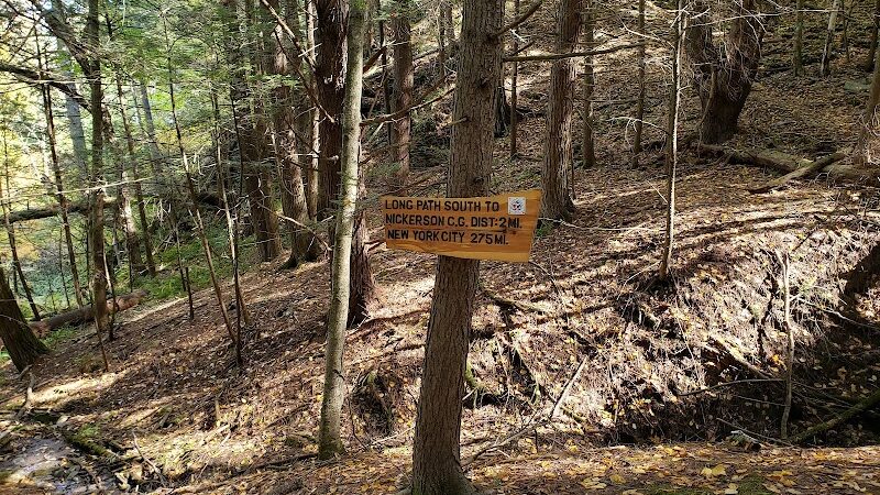 Mine Kill State Park - North Blenheim, NY