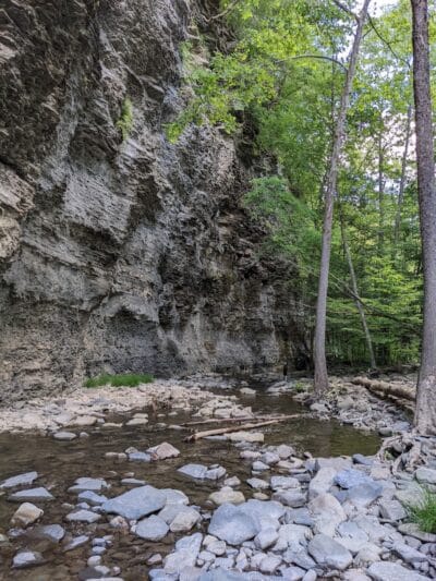 Mine Kill State Park - North Blenheim, NY