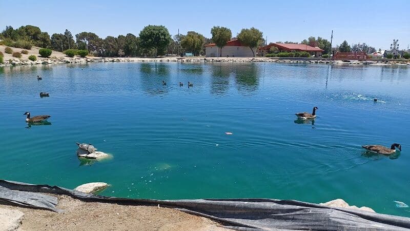 Craig Ranch Regional Park - North Las Vegas, NV
