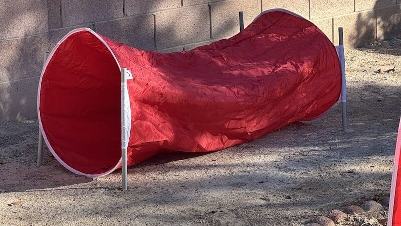 Kaurie’s fully fenced yard with agility trading course - North Las Vegas, NV