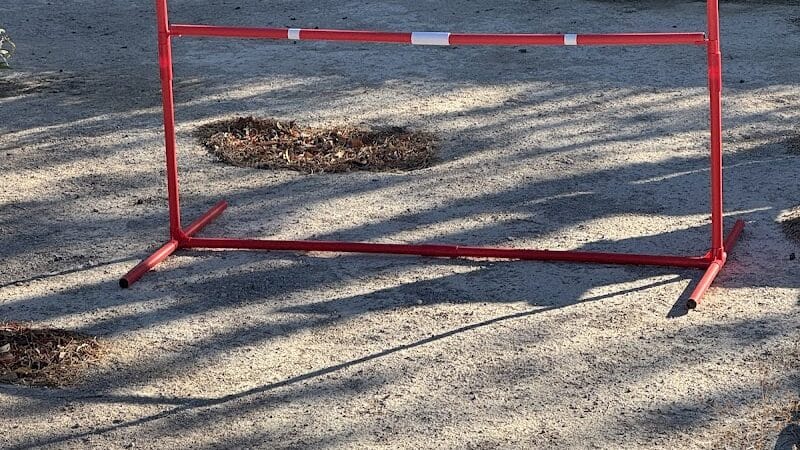 Kaurie’s fully fenced yard with agility trading course - North Las Vegas, NV