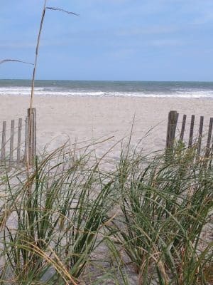 Cherry Grove Oceanfront Park