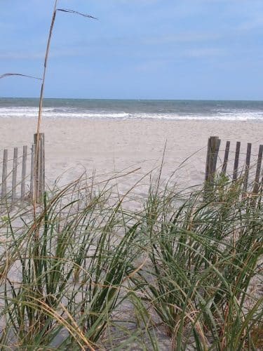 Cherry Grove Oceanfront Park