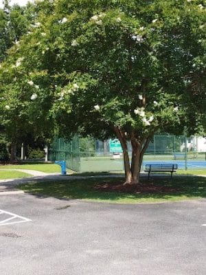 Hill Street Park