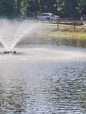McLean Park playground