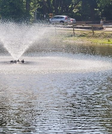 McLean Park playground