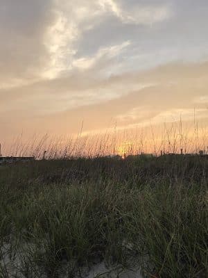 Myrtle beach park