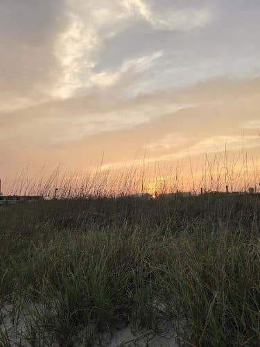 Myrtle beach park