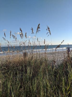 Public Beach Access