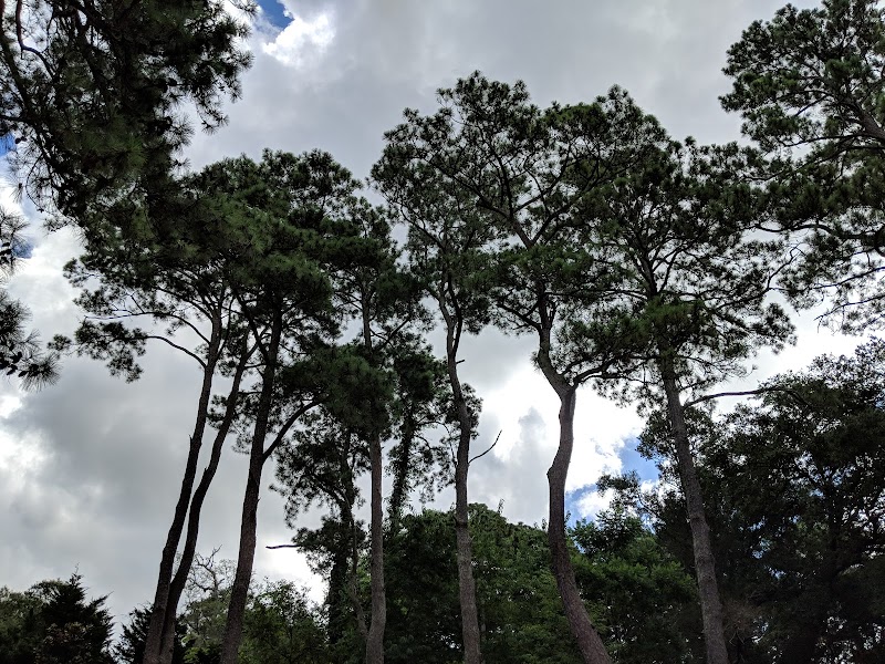 Yow Park - North Myrtle Beach, SC