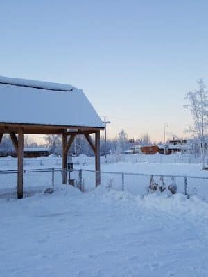 North Pole Dog Park