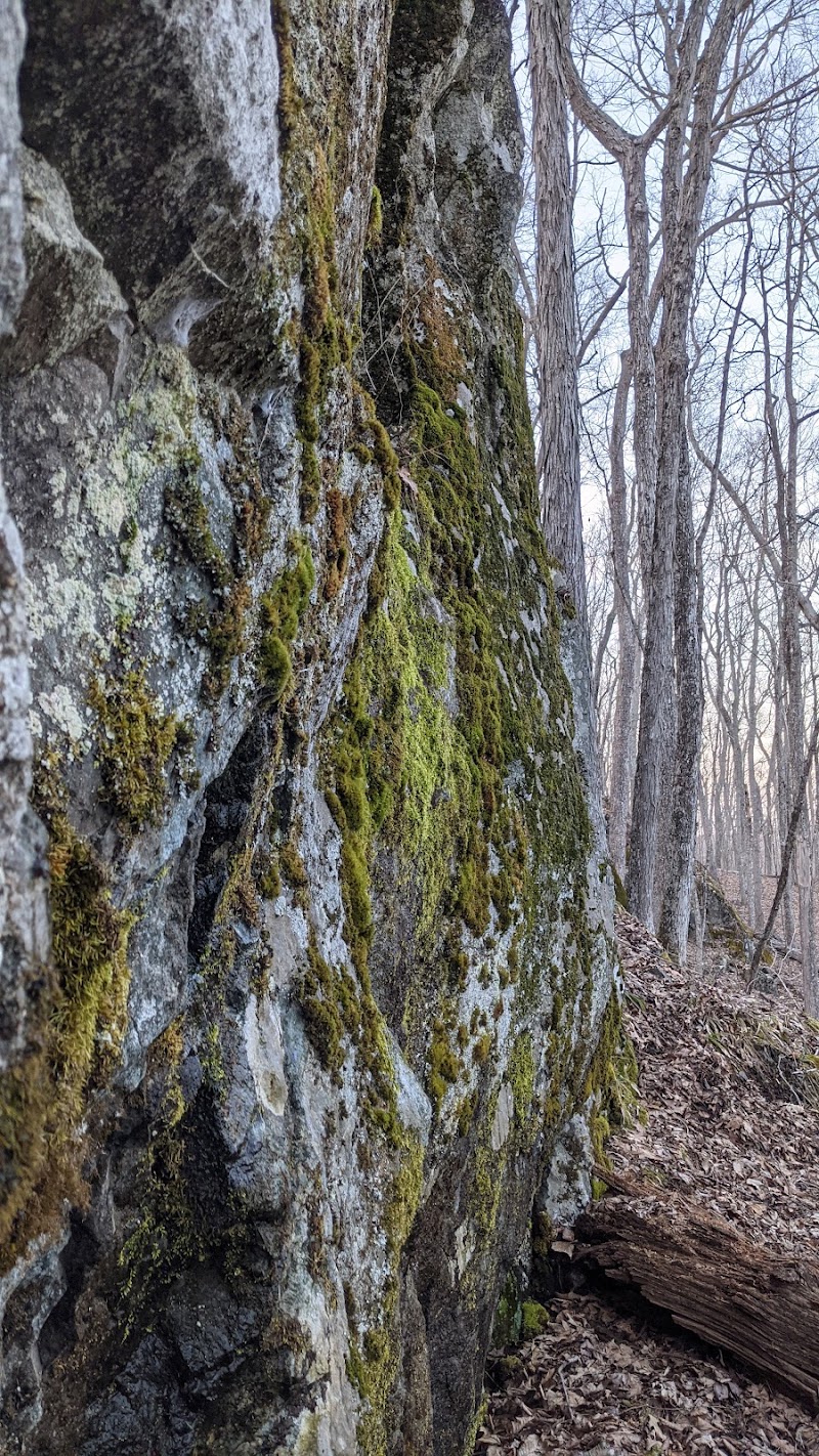 Avalonia TriTown Preserve Parking - North Stonington, CT